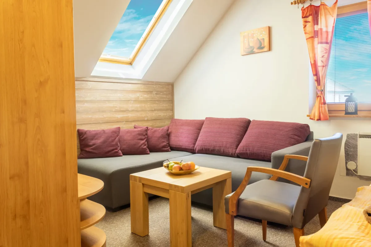 Pohľad na obývaciu miestnosť v Apartmáne Andrejka