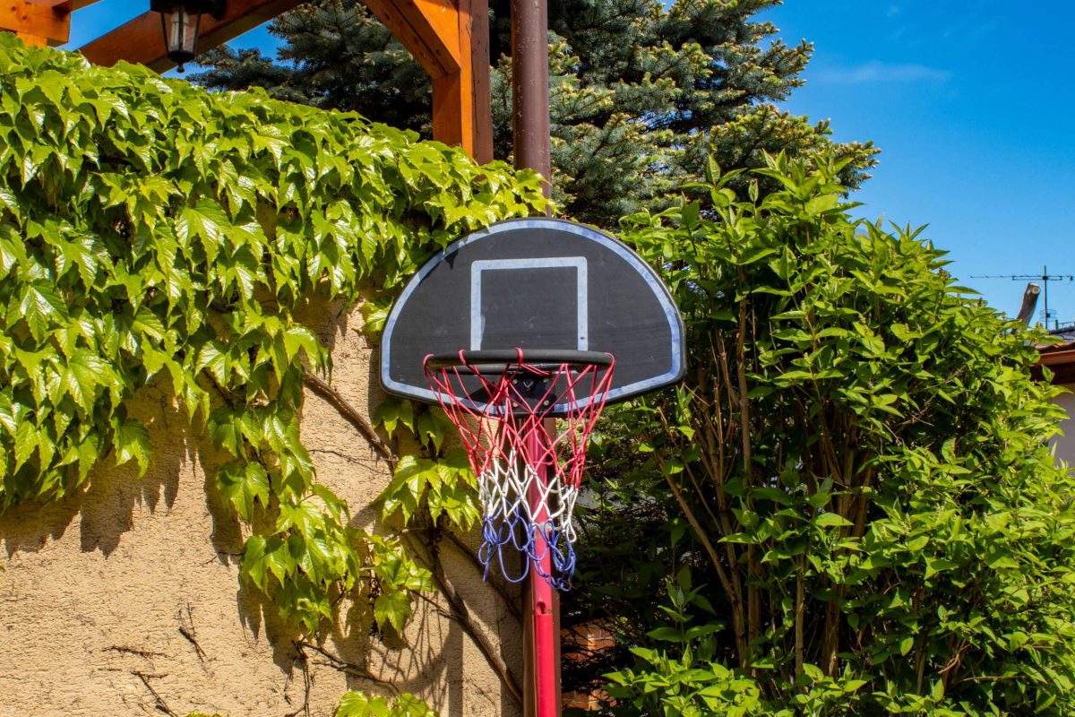 Basketbalový kôš